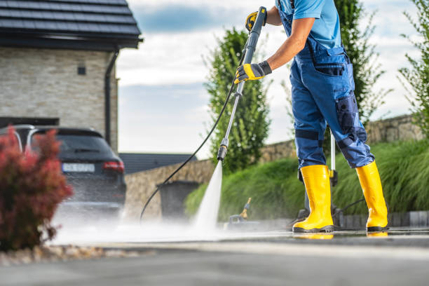 Best Fence Pressure Washing  in South St Paul, MN