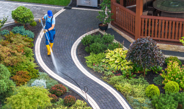 Best Best Pressure Washing Companies  in South St Paul, MN